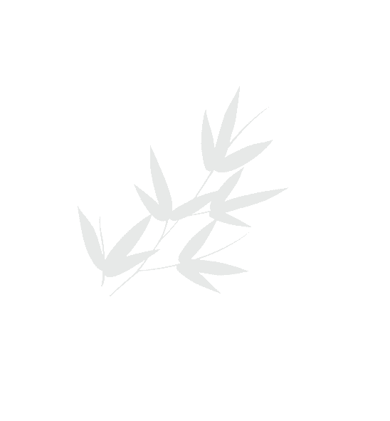 Decorative Background