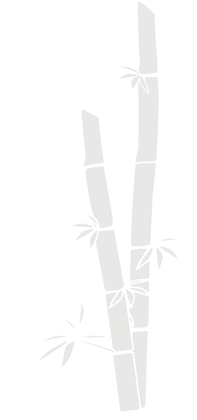 Bamboo Pattern