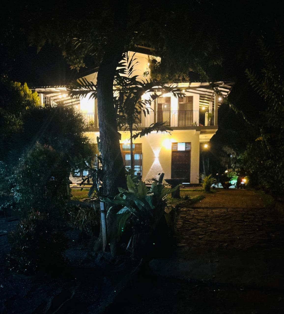 Bamboo Villa Night View