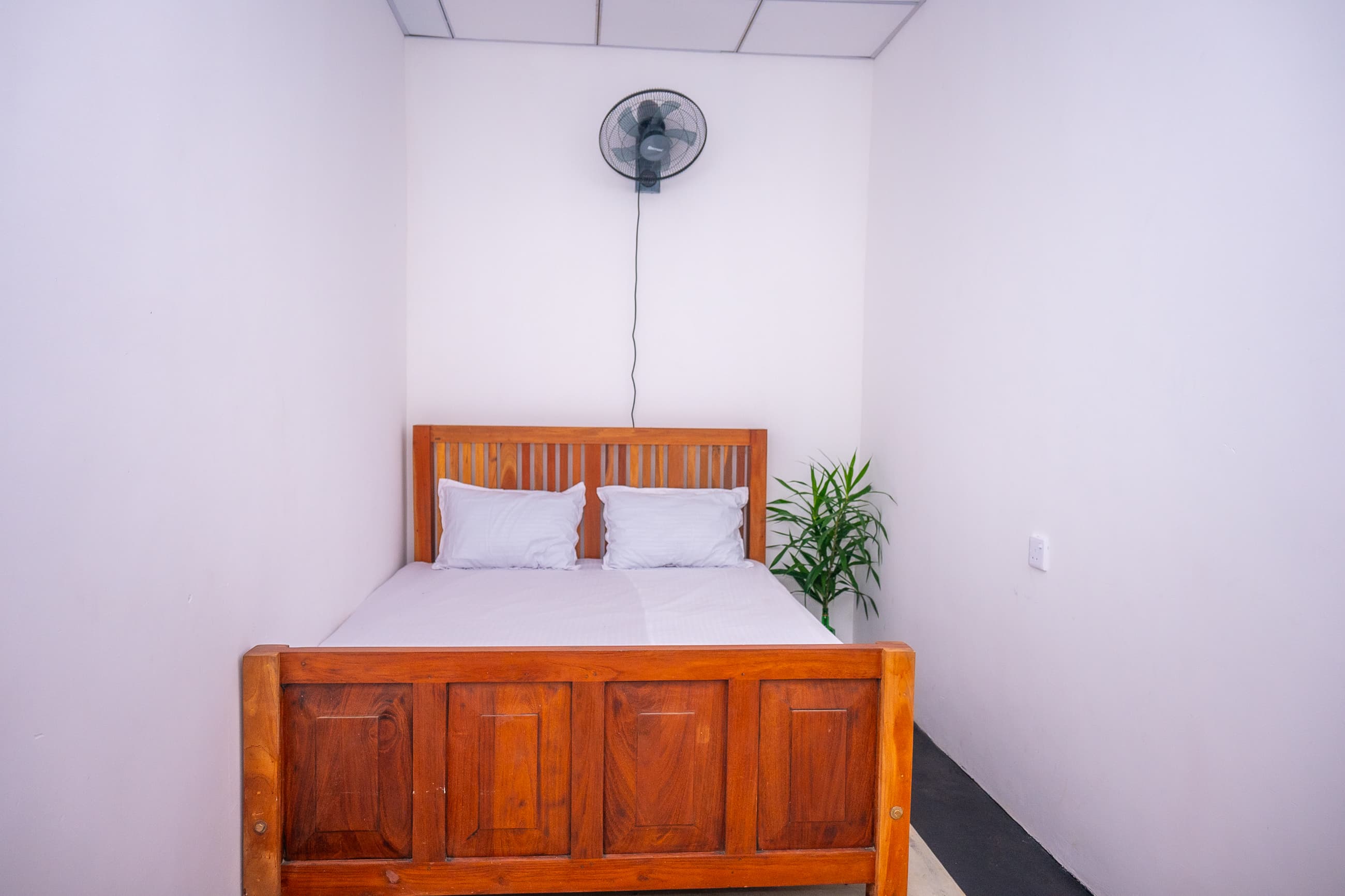 The Bamboo Horizon Suite